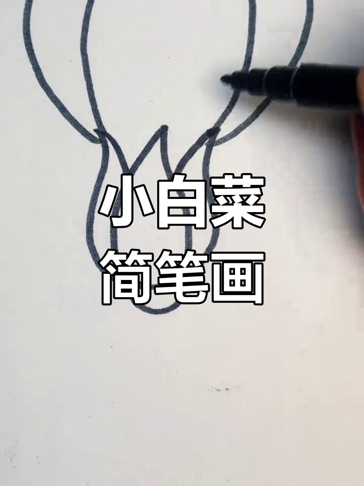轻松学画小青菜,简单又可爱