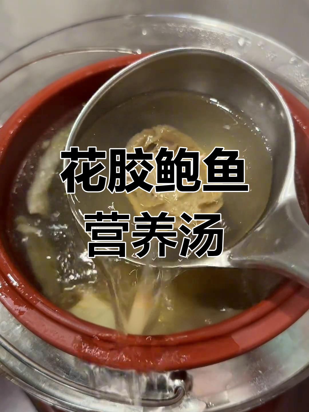 北海公花胶炖鲍鱼,滋补营养汤