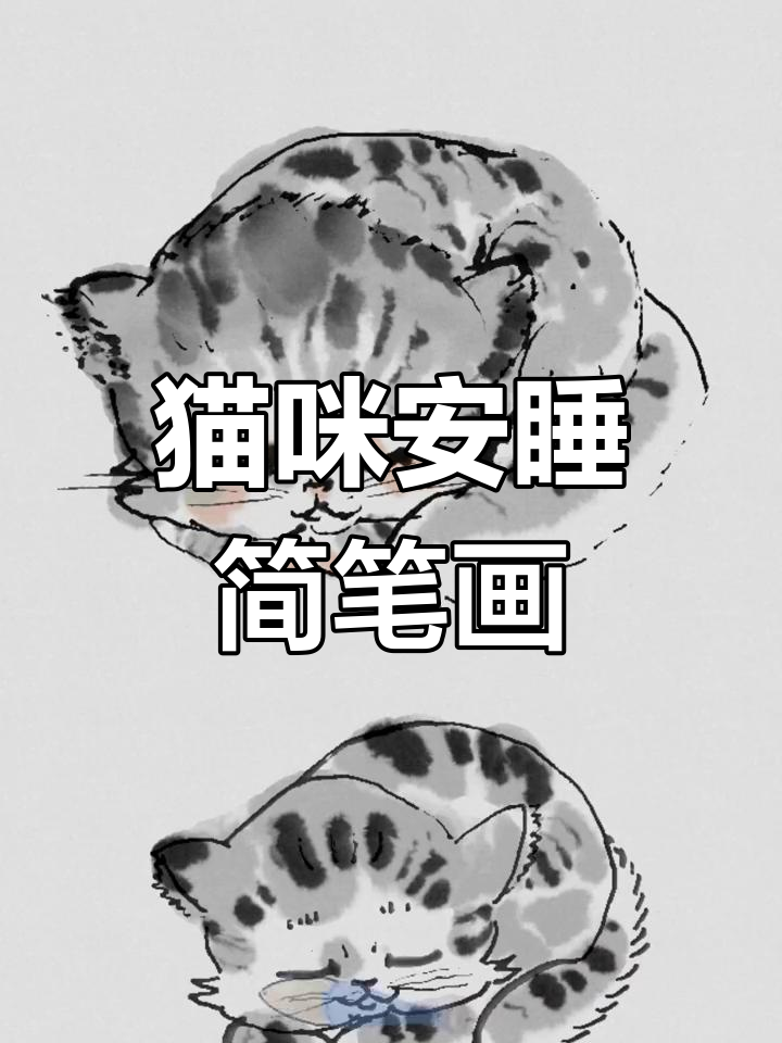 用简笔画记录猫咪的安详睡眠,放松心情,轻松上手!