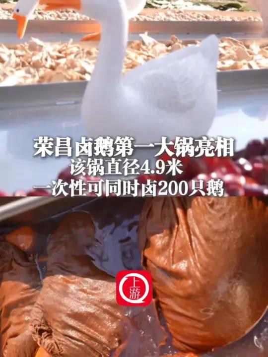 4月30日,重庆,荣昌卤鹅第一大锅亮相 该锅直径4.9米 一次可同时卤200只鹅(上游新闻