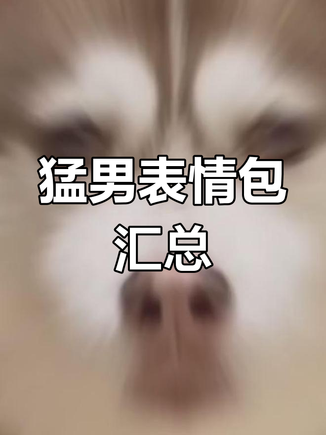 猛男必备表情包大集合