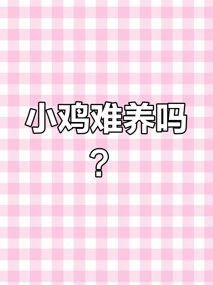 养小鸡看似简单,实则挑战重重!