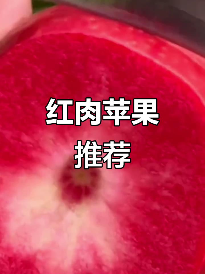 新疆红肉苹果,冰糖心口感绝佳,圣诞送礼超有面子!