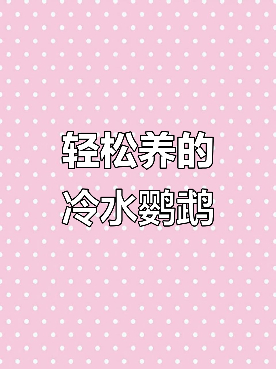 冷水鹦鹉鱼：好养又喜庆，家庭必备的发财鱼