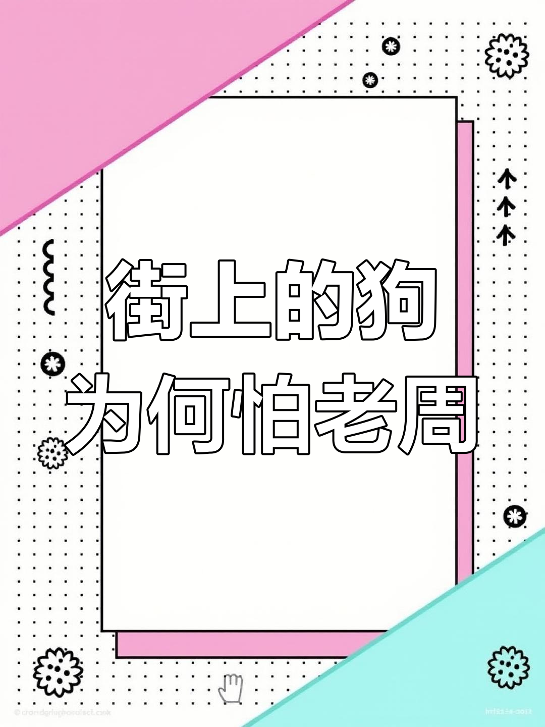 老周开狗肉馆,发现街上狗狗都怕他!背后真相让人震惊
