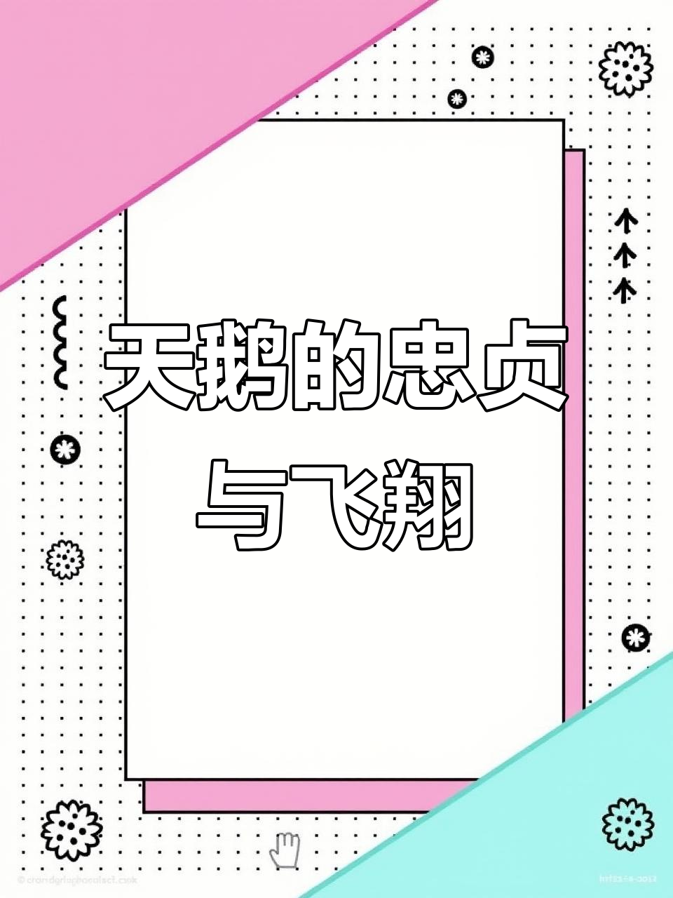第一次亲眼见天鹅,被它们的忠诚与高空飞行震撼到