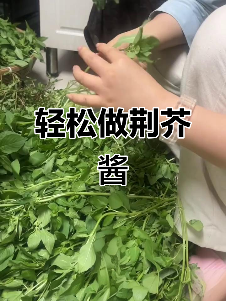 自制荆芥酱,开胃又健康,炒菜必备新调料