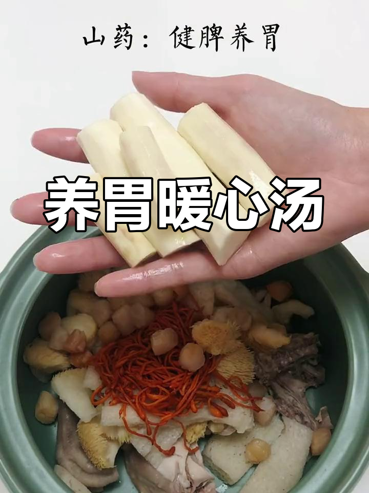 生活中的小确幸:猴头菇竹笙山药养胃汤