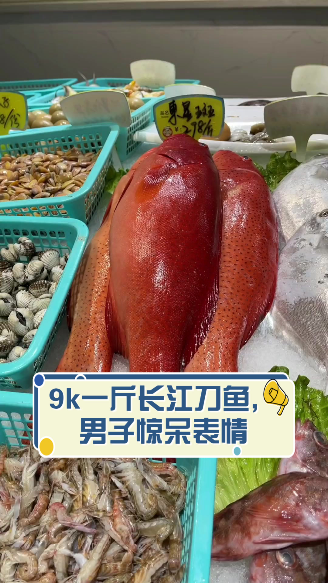 9k一斤长江刀鱼,男子惊呆表情
