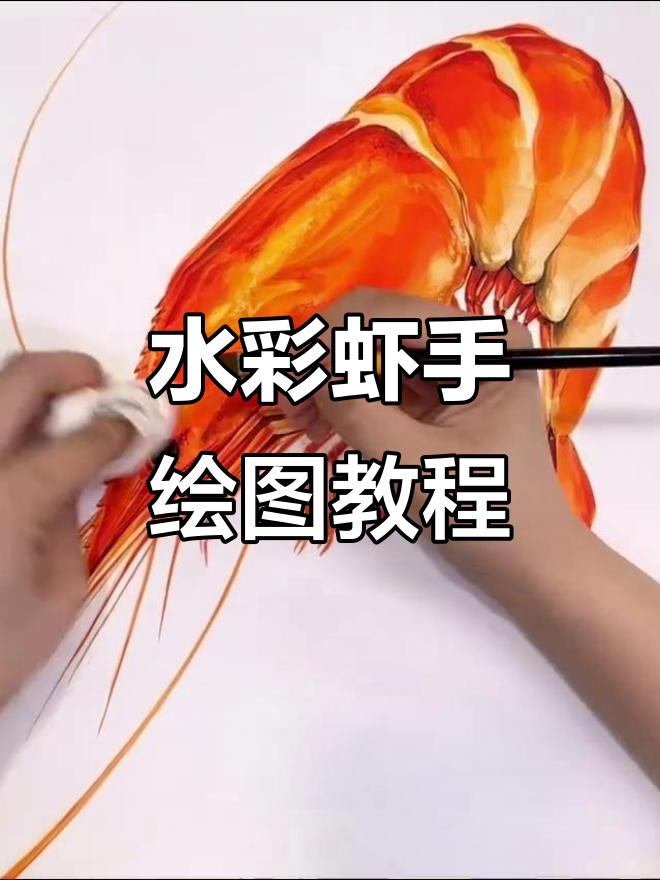 手绘水彩虾,简单步骤教你画出可爱小动物