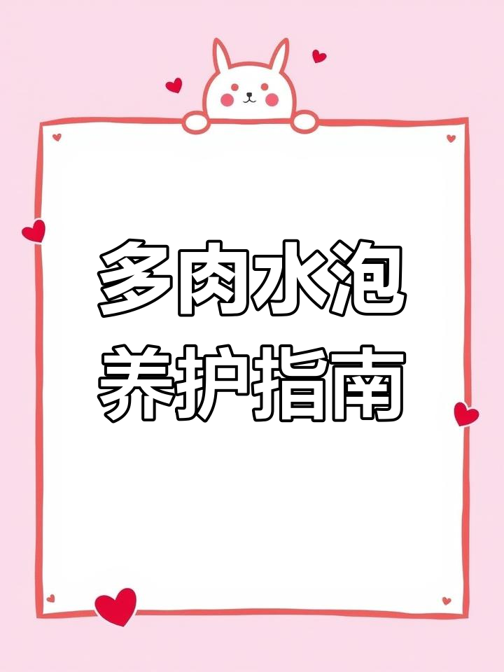 水泡多肉植物养护技巧:从海豹品种到叶插繁殖全解析