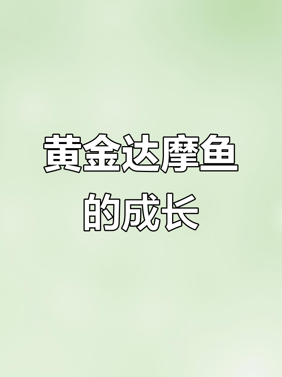 黄金达摩鱼成长揭秘:从深色到成体的变化过程