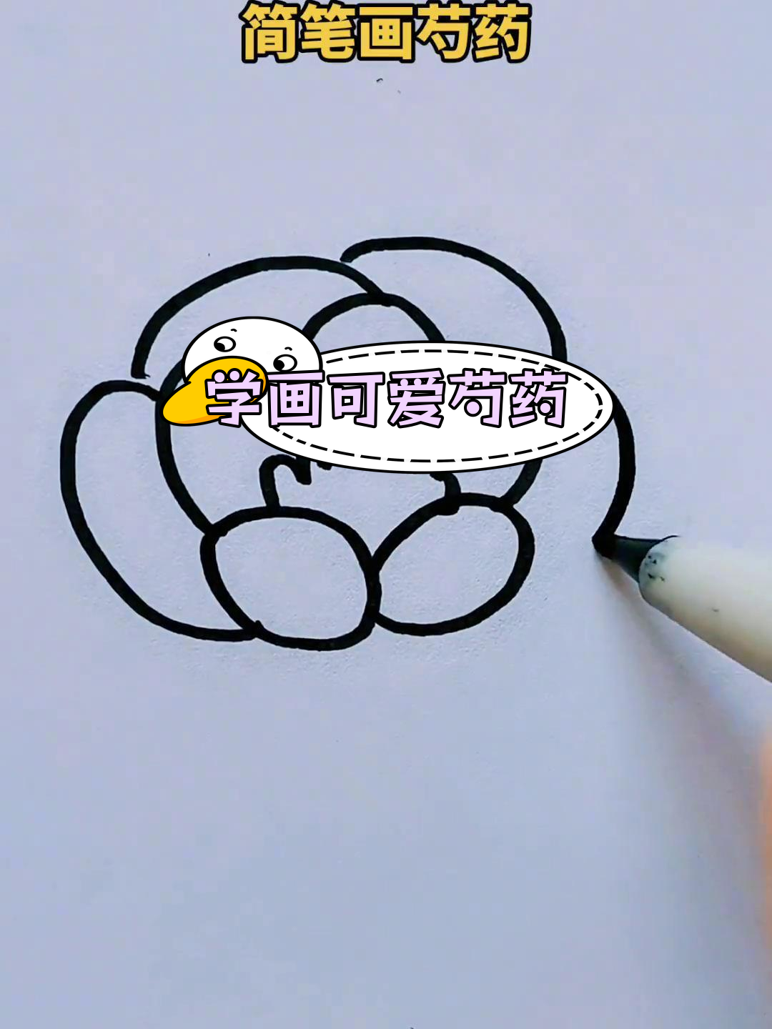 亲子一起学简笔画芍药