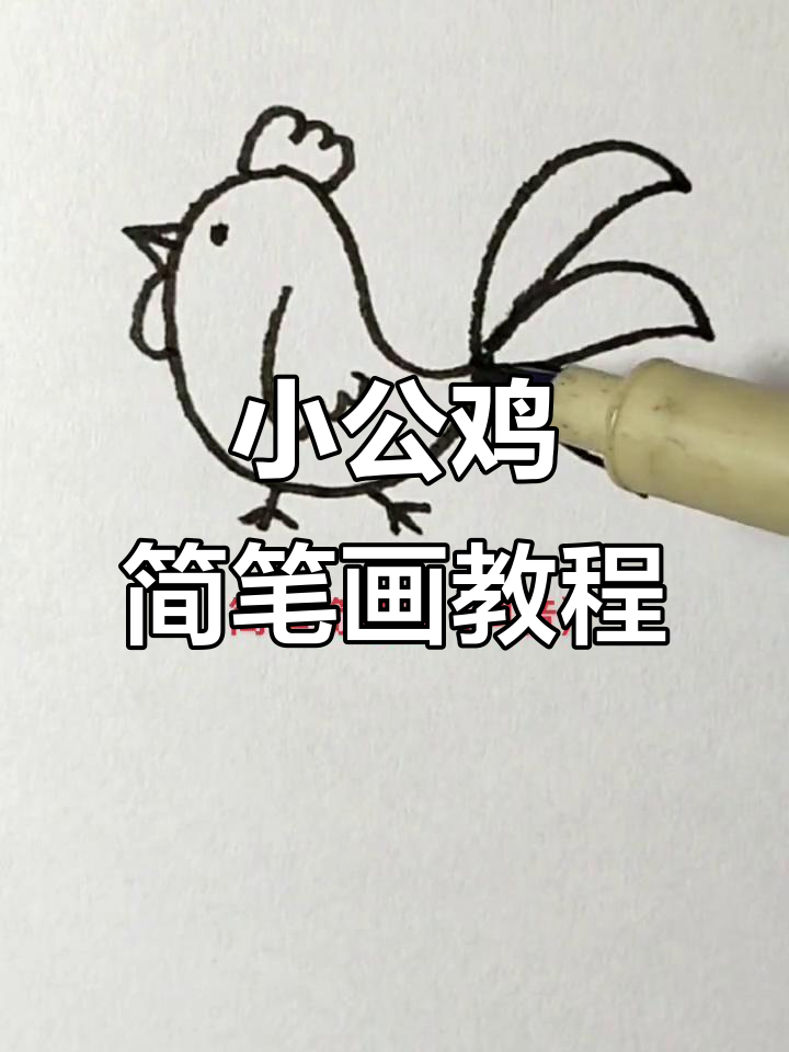 零基础学画小公鸡,简单又可爱
