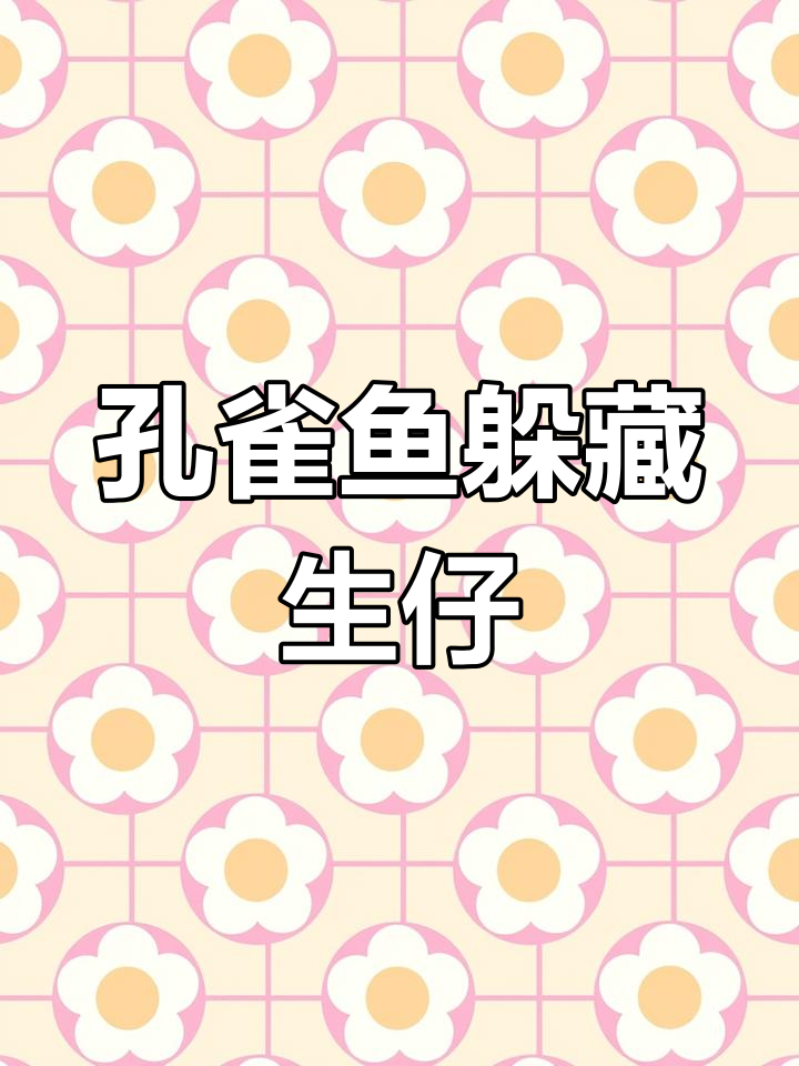 孔雀鱼生产“游击战”:如何应对母鱼的躲避行为