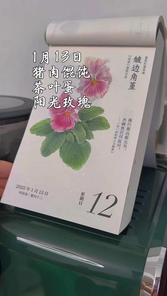 小城故事多,天津滨海生态城的陪读慢生活