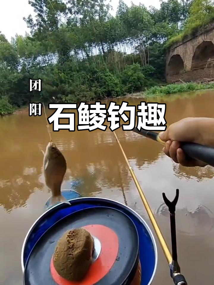 钓鱼人懂的心动瞬间,石鲮狂口大作战