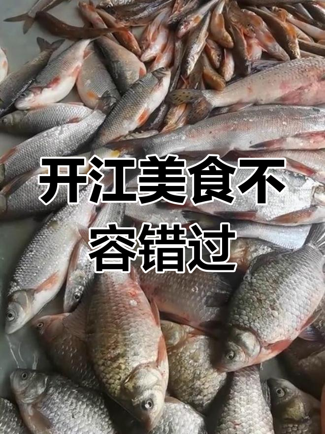 乌苏里江白鱼鲜美,春季必吃美味大揭秘