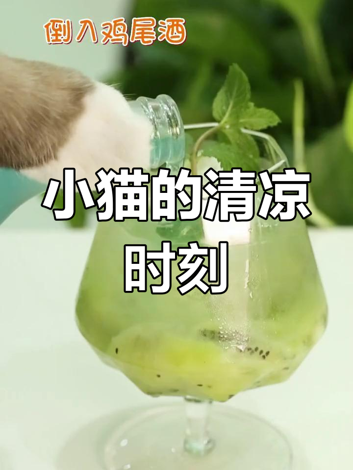 夏日炎炎,猫咪也爱蓝色妖姬