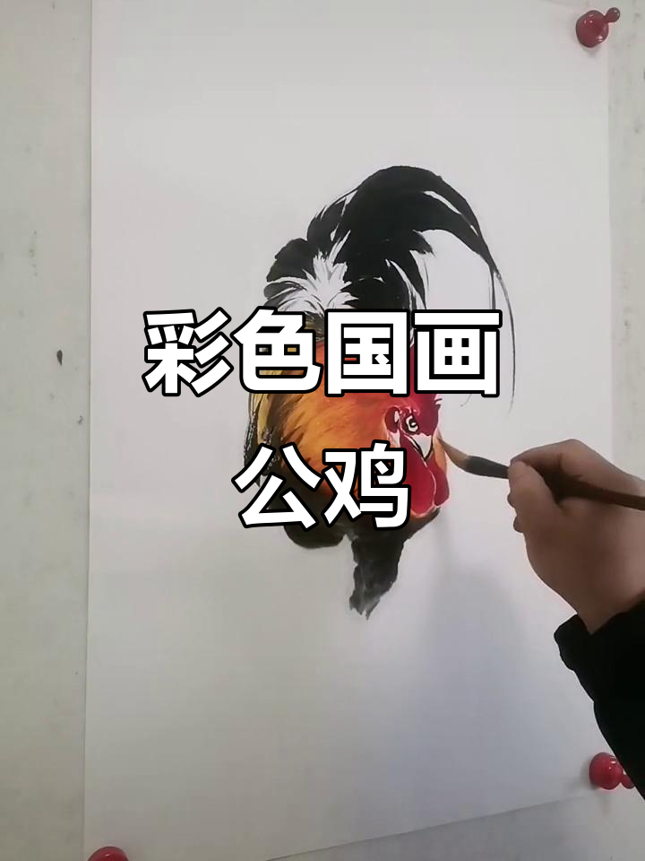 王兴民国画公鸡：彩绘攻击，美丽又生动