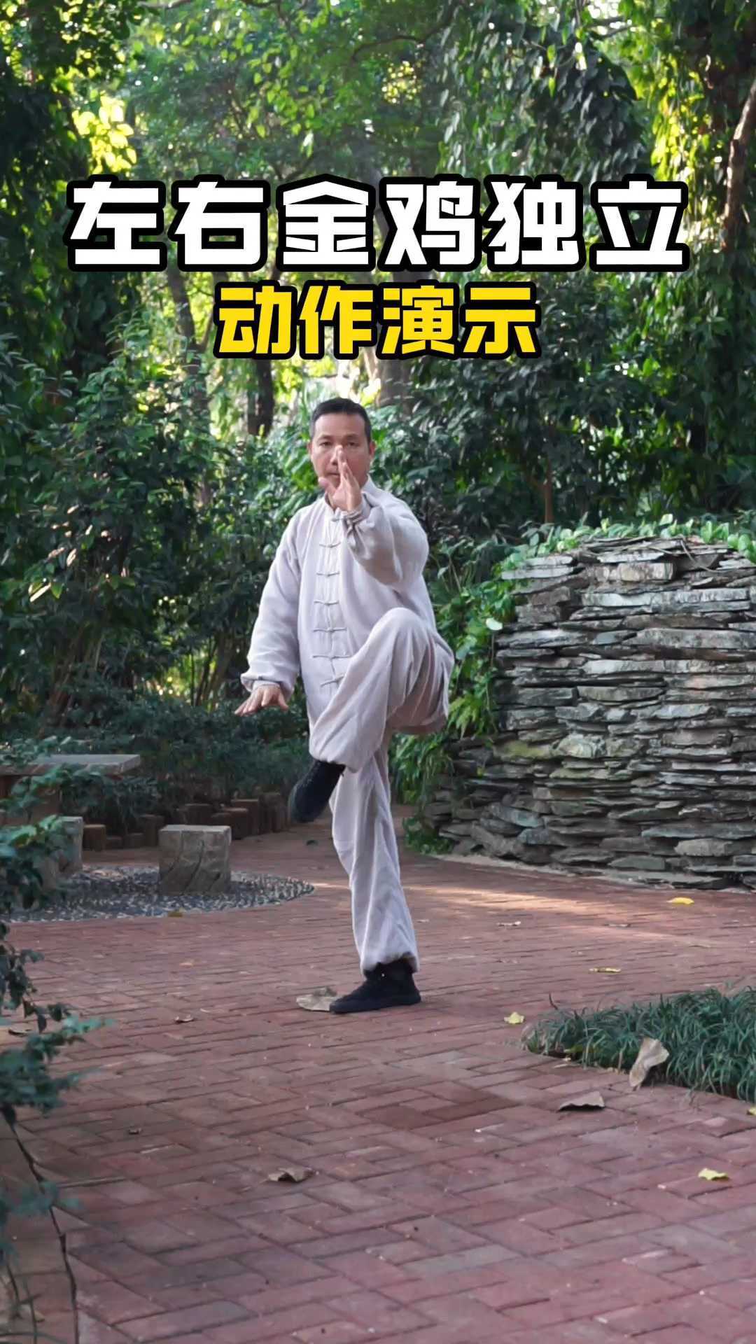 传统杨式太极拳85式 金鸡独立动作演示 太极拳 杨式太极拳 传统85式太极拳 南宁太极拳 