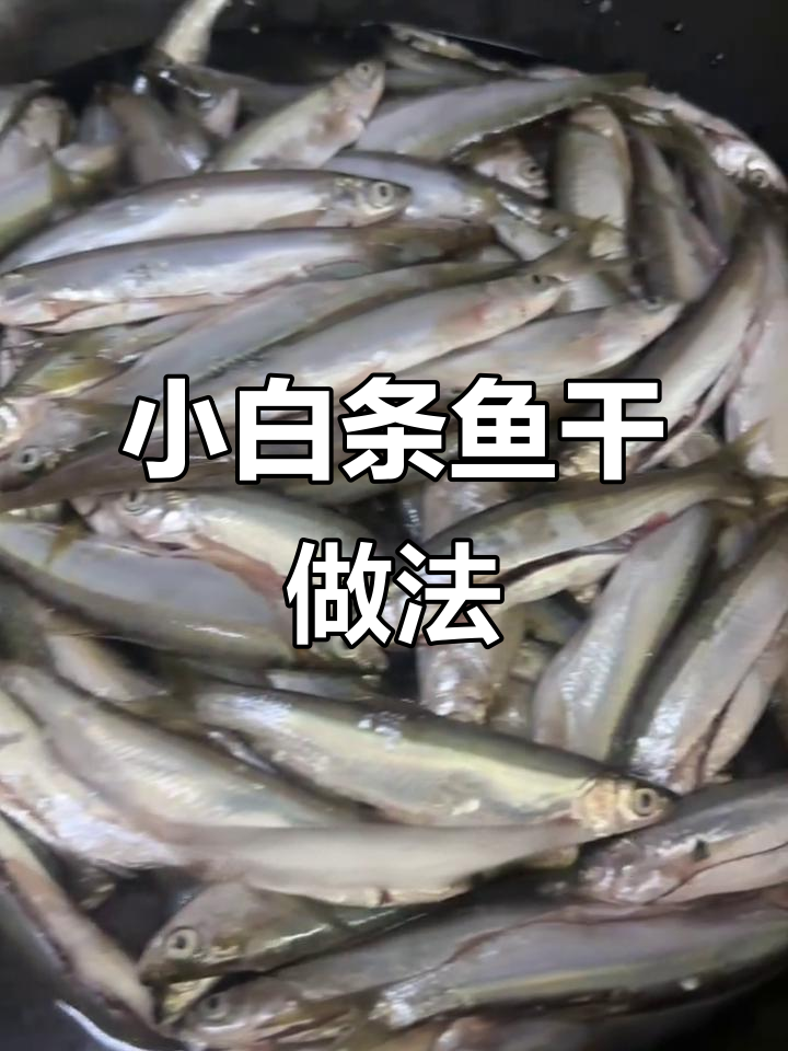 白条鱼干制作揭秘,中秋送礼佳选