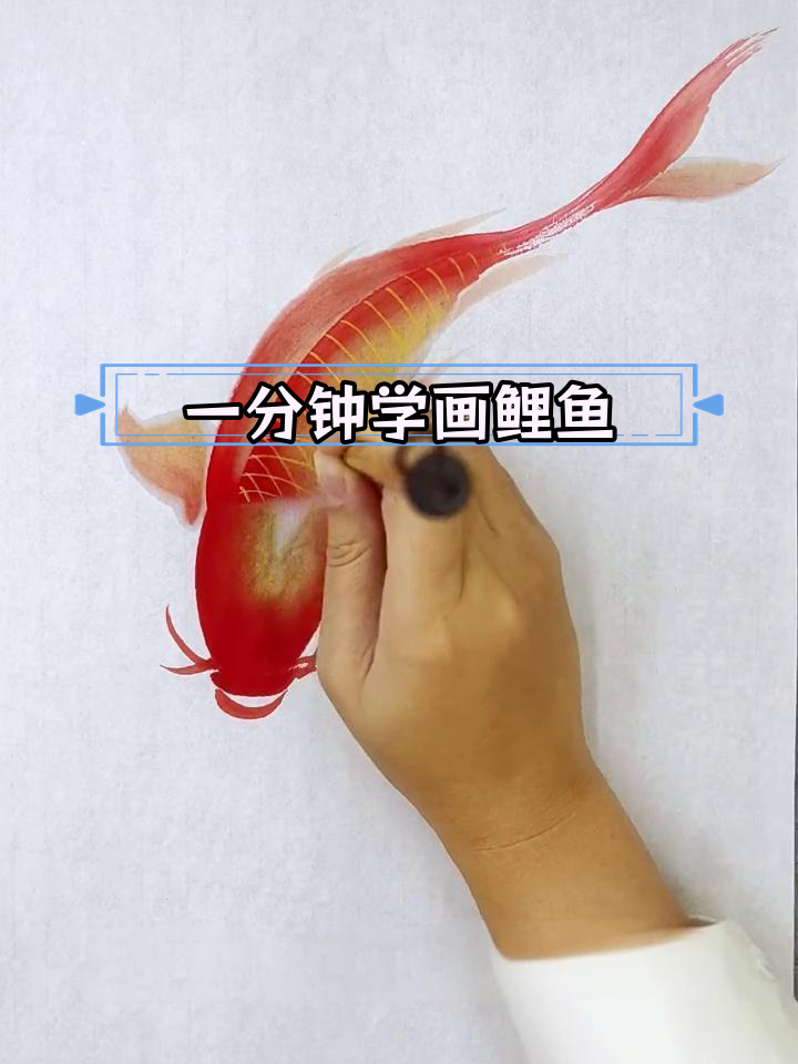 轻松学会画红鲤鱼,简单步骤全解析