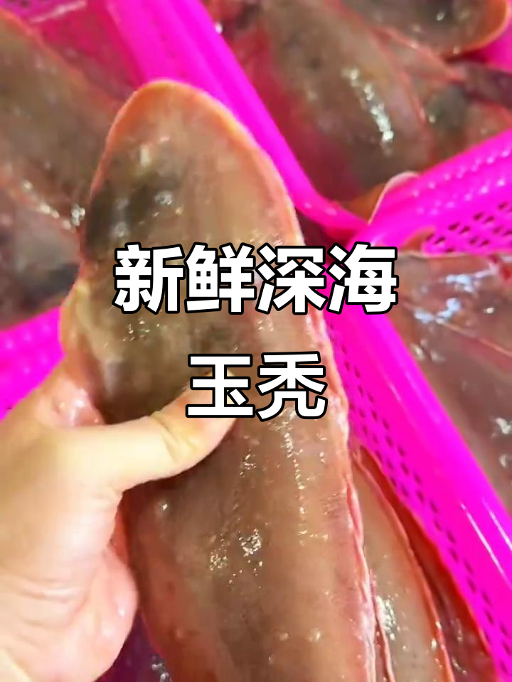 深海捕捞玉秃鱼,鲜活速冻配送,冷运直达餐桌
