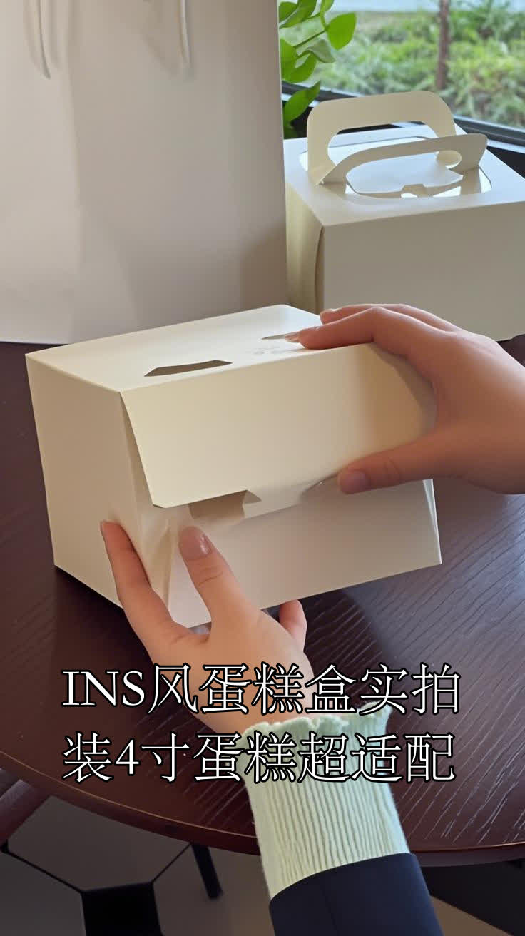 INS风蛋糕盒实拍装4寸蛋糕超适配