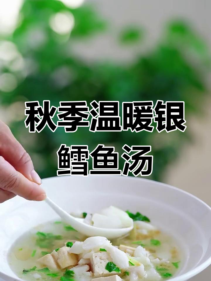 秋日暖心银鳕鱼豆腐汤,喝上一口驱寒又美味