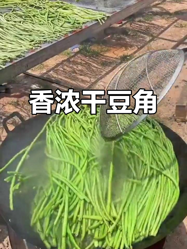 干豆角红烧肉,香气扑鼻,三碗饭都不够吃!