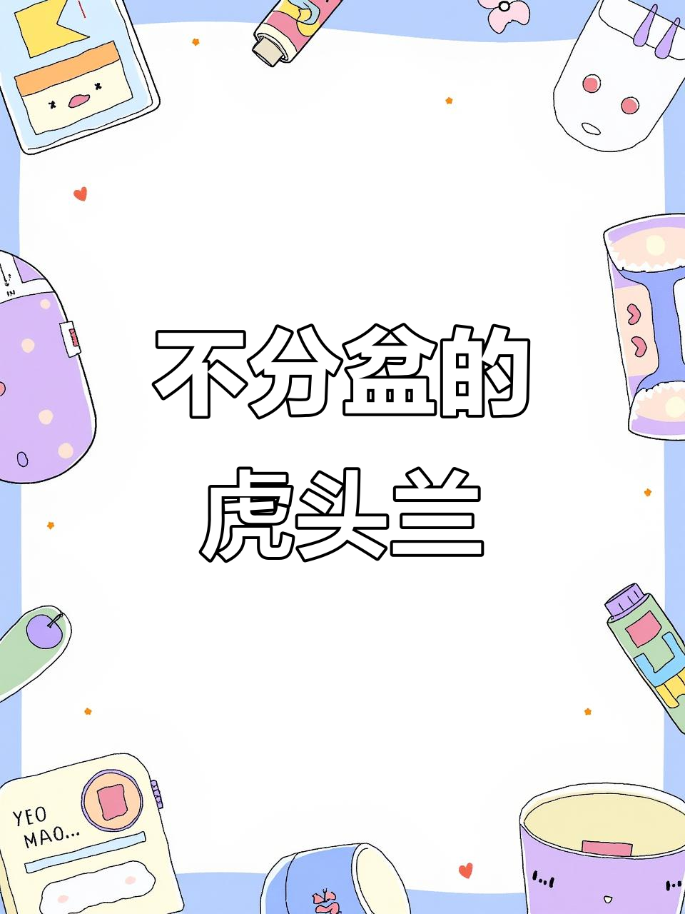 十年不分盆的虎头兰,白天鹅来啦!