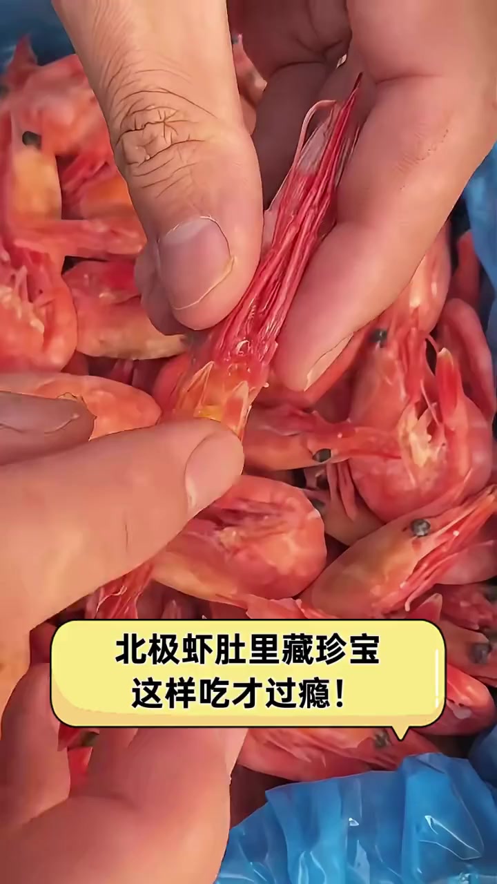 北极虾肚里藏珍宝,这样吃才过瘾!