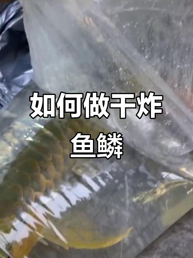 鱼鳞处理技巧大揭秘,干炸与石鳞两种做法全解析