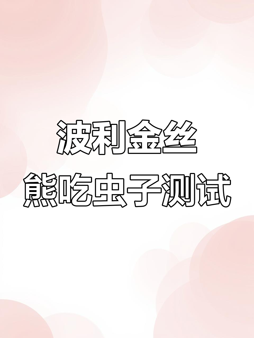 金丝熊爱吃面包虫吗?活体测试结果大揭秘