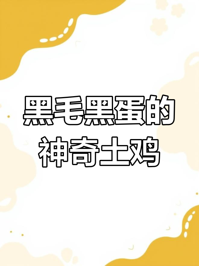 江苏徐州惊现黑色五黑鸡,连蛋都是黑的!