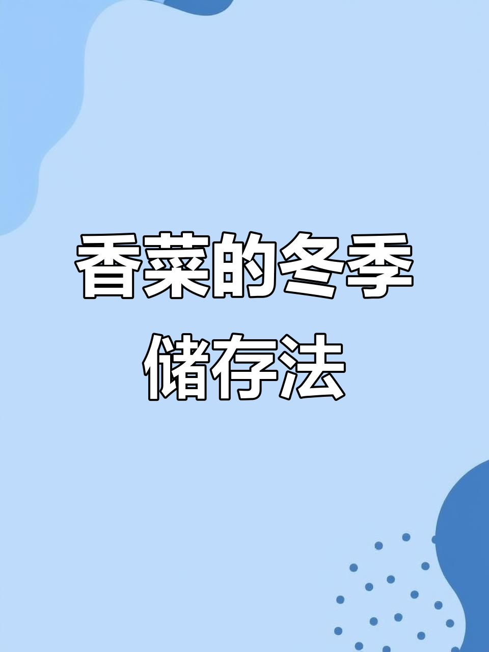 香菜便宜又新鲜,教你如何保存,冬天也能吃!