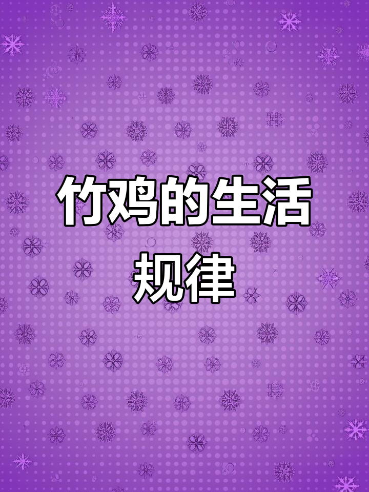 探秘竹鸡生活习性:野鸡蛋与野外生存技巧