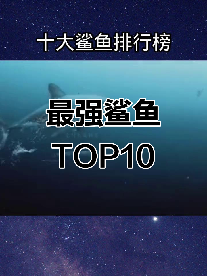 十大最凶猛鲨鱼排名，虎鲨只能排第三