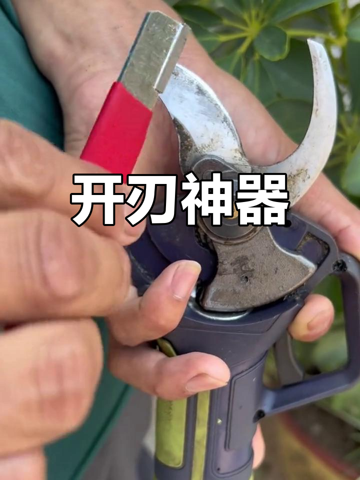 家里刀具钝了?开刃器一刮,立马恢复锋利!