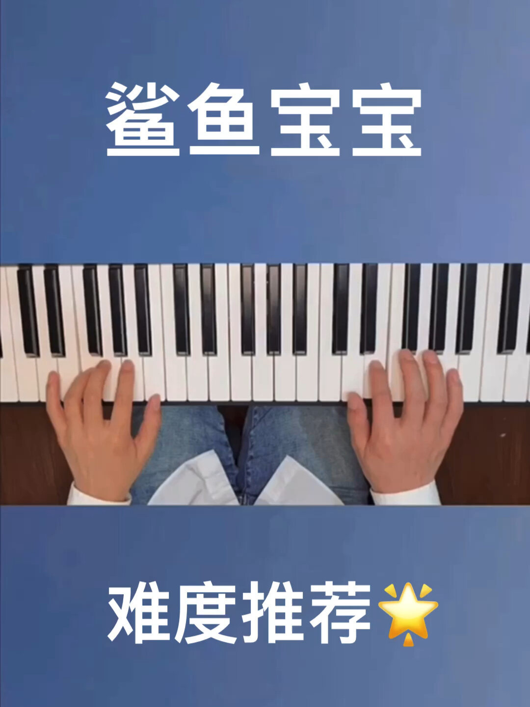 《鲨鱼宝宝》