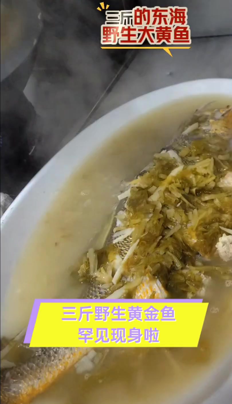 三斤野生黄金鱼,罕见现身啦