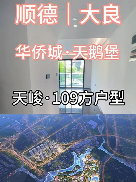 大良华侨城·天鹅堡109方户型