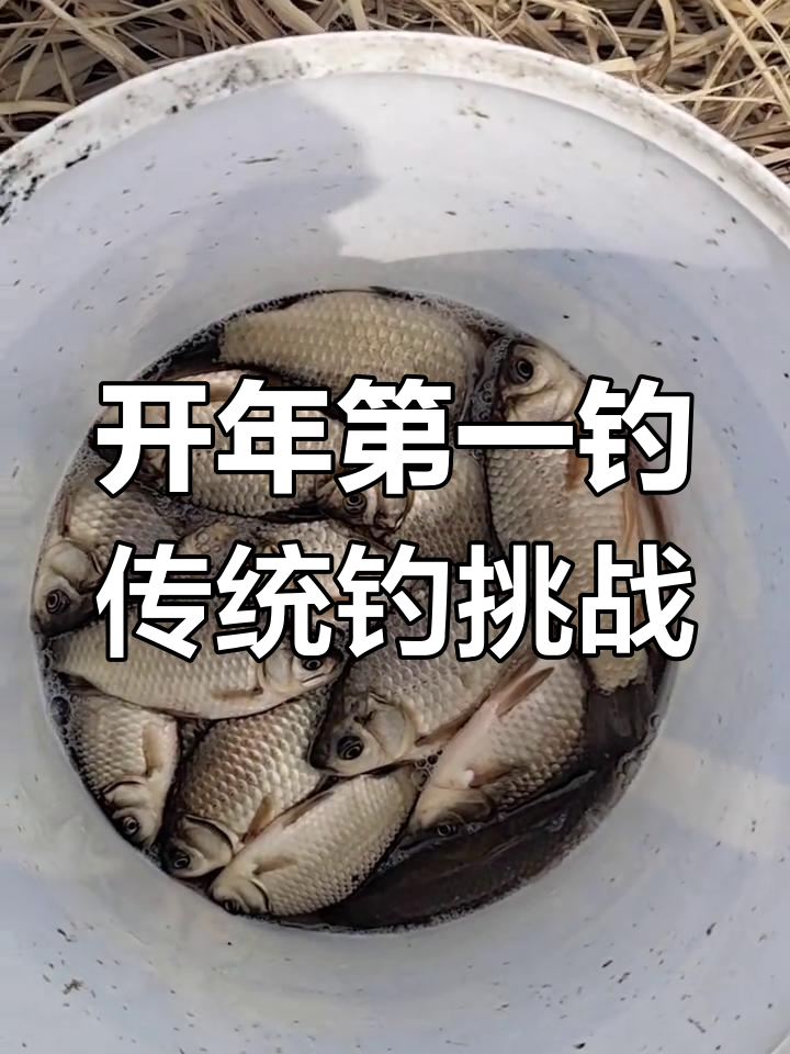 2025年春季钓鱼大赛,放长线钓大鱼现场实拍!