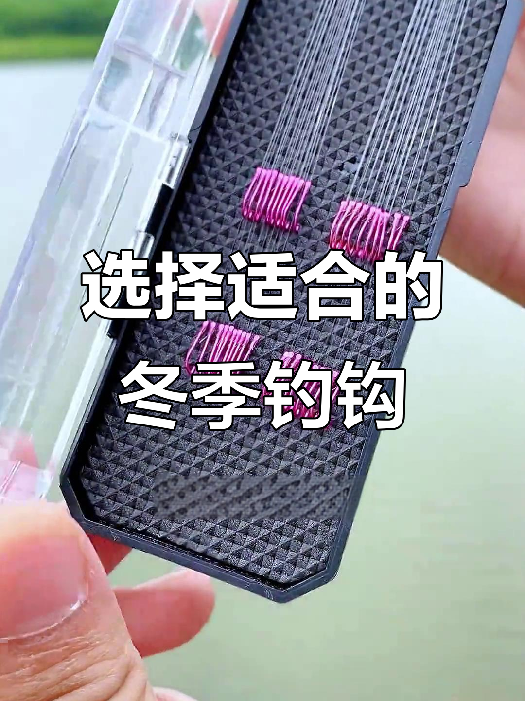 秋冬钓鱼钩选择指南，哪种鱼钩最适合你？