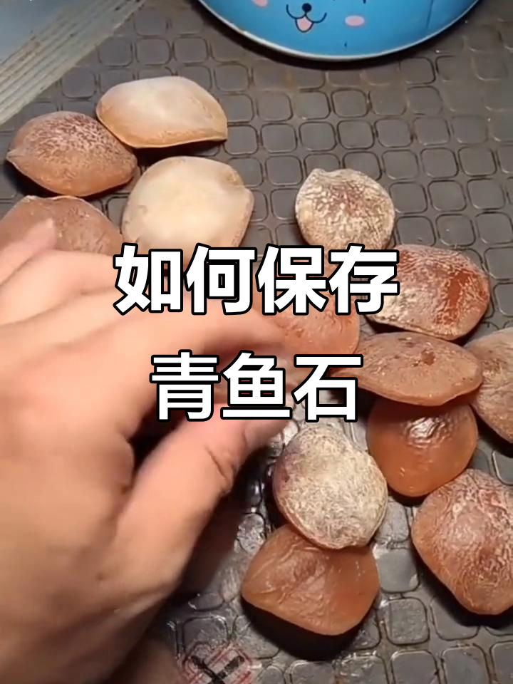 青鱼石保存技巧大揭秘，如何正确处理避免发白