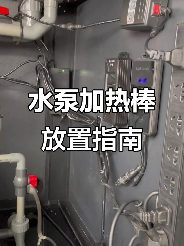 鱼缸器材摆放技巧,避免损坏和噪音