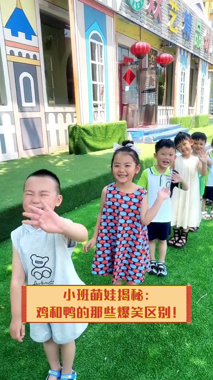 小班萌娃揭秘:鸡和鸭的那些爆笑区别!