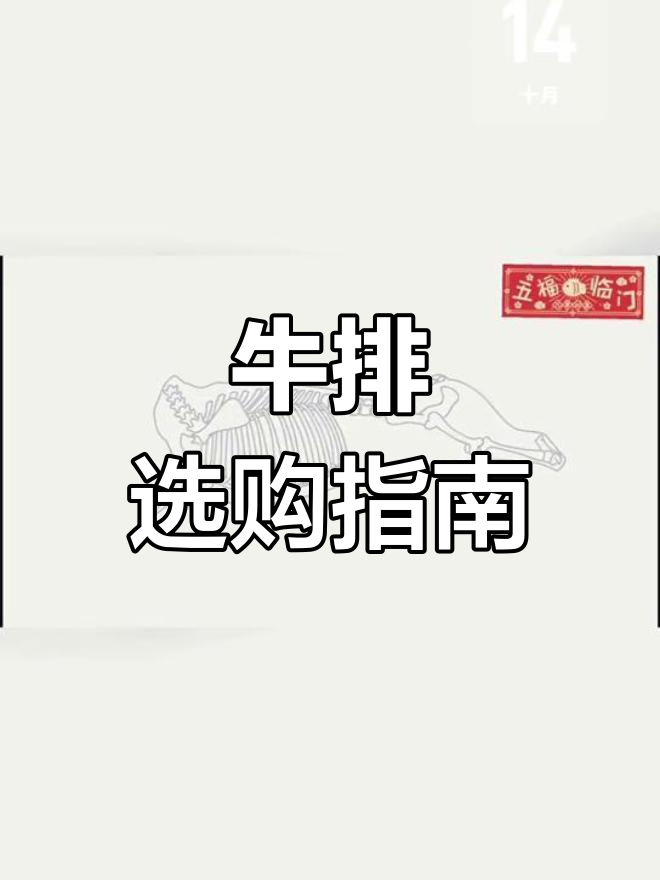 牛肉各部位详解:如何挑选适合的肉