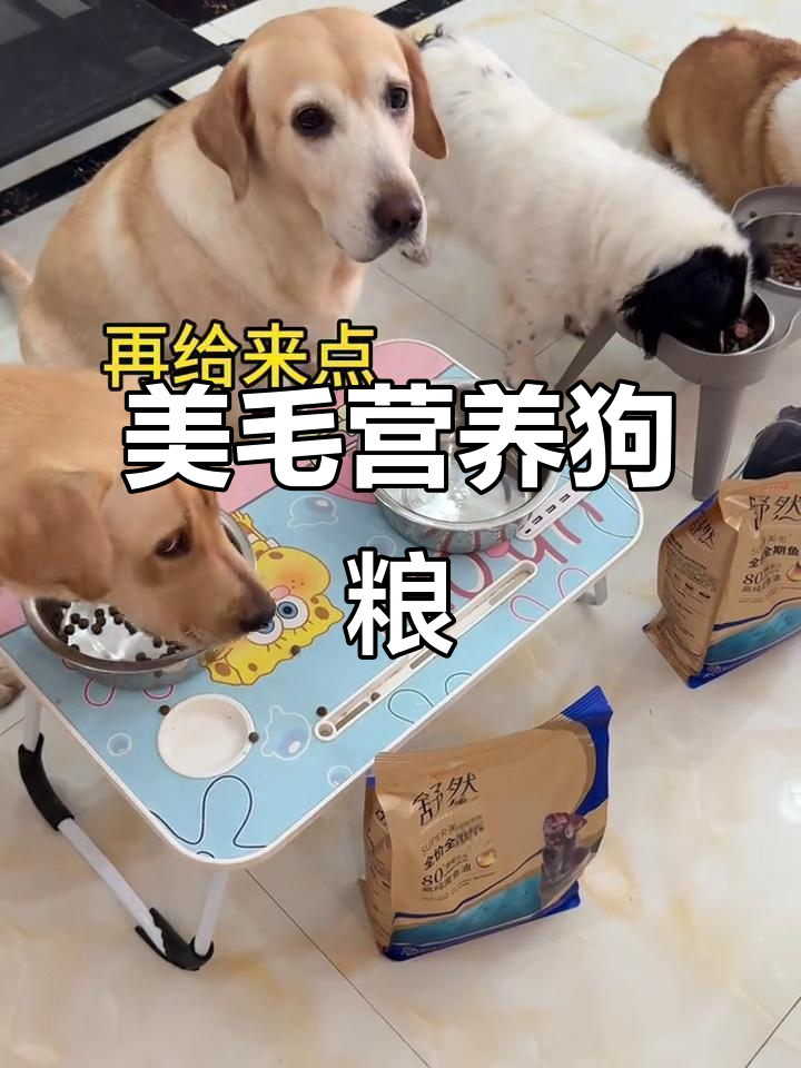 麦富迪舒然狗粮:鸡肉鸭肉搭配果蔬,美毛亮毛更营养
